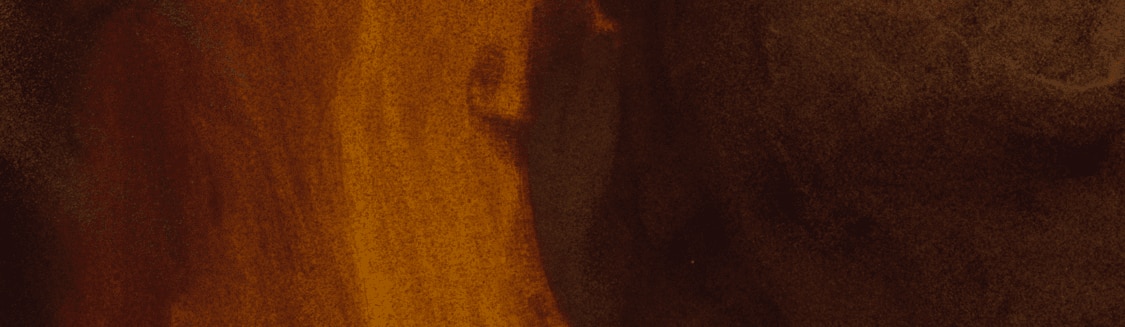 Dallmayr Kaffeekapseln banner