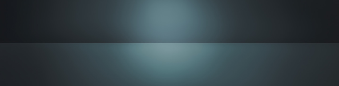 blackfriday-premio-punkte banner