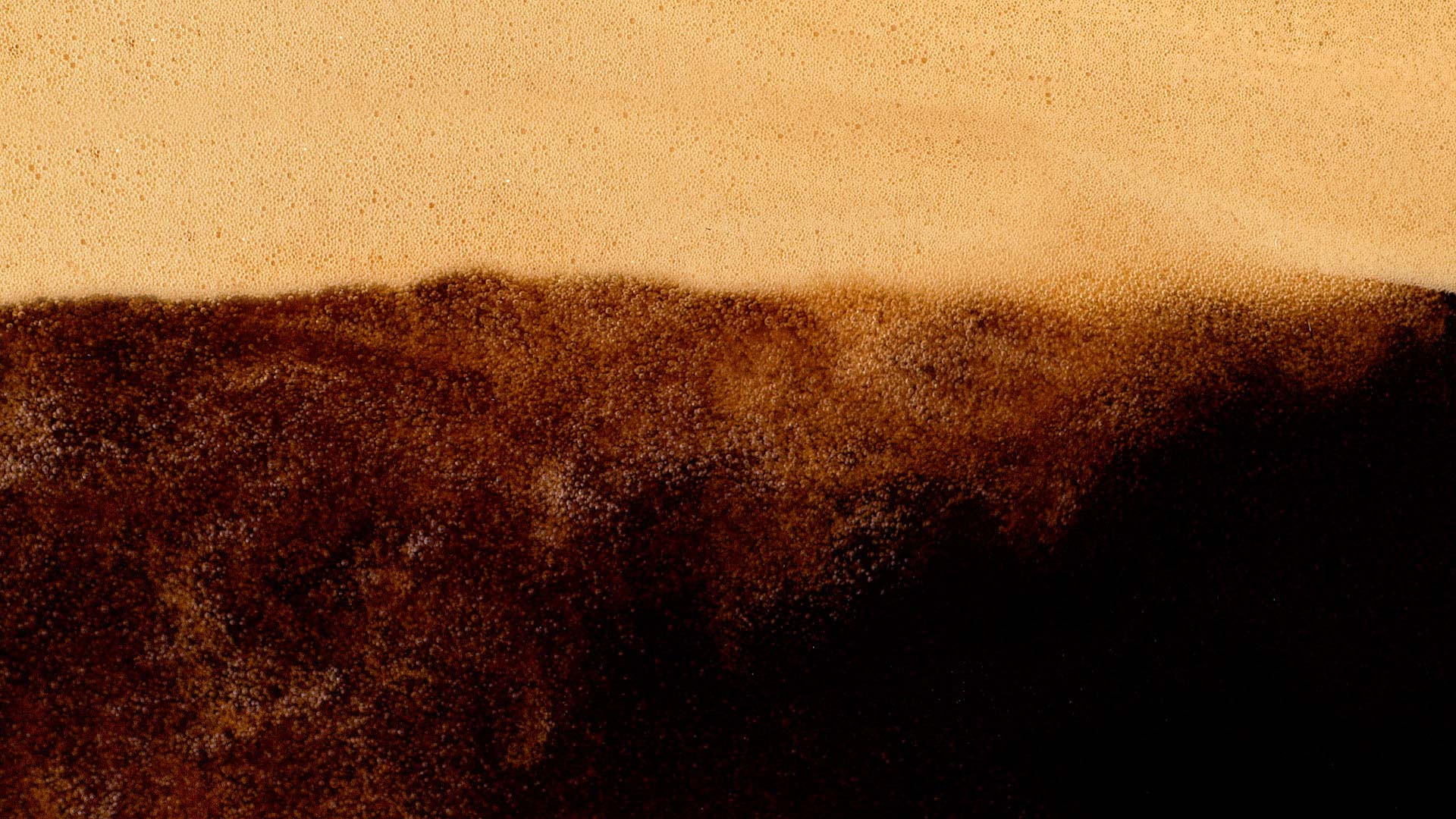 Dallmayr Kaffeekapseln banner