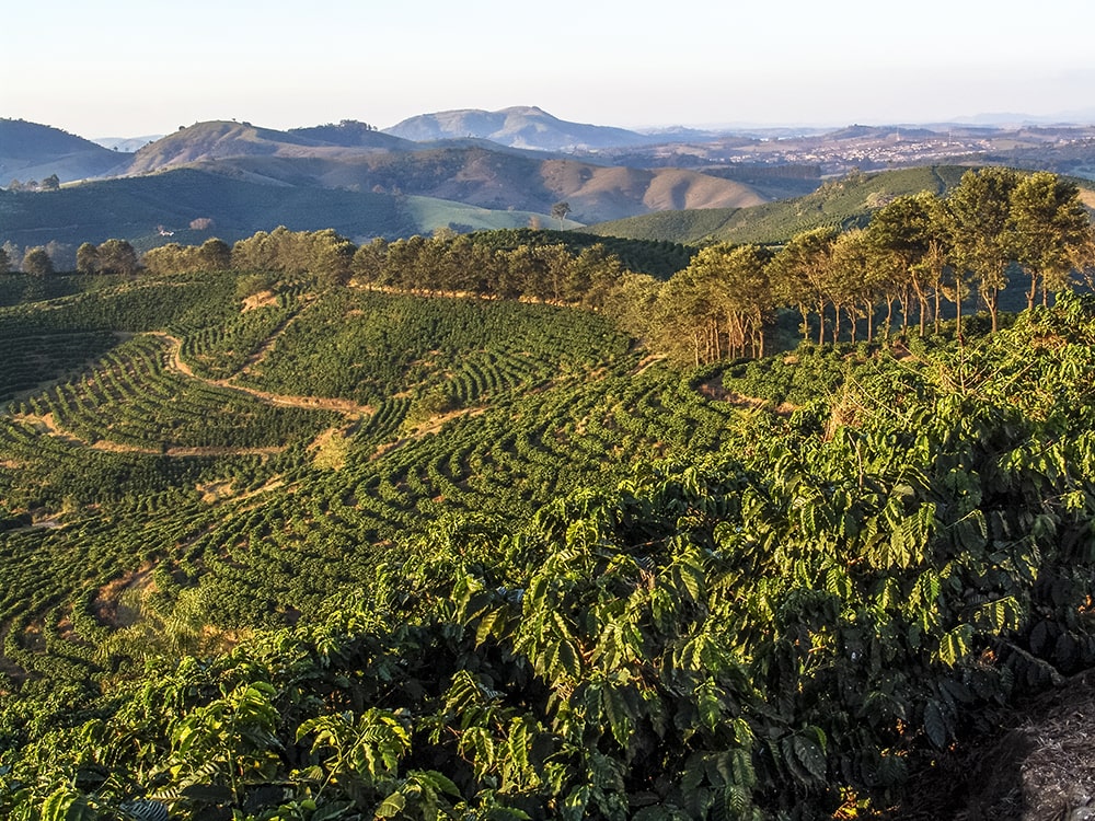 Landschaft Brasilien