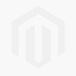 Nestlé Logo