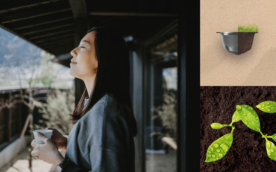 header image 2