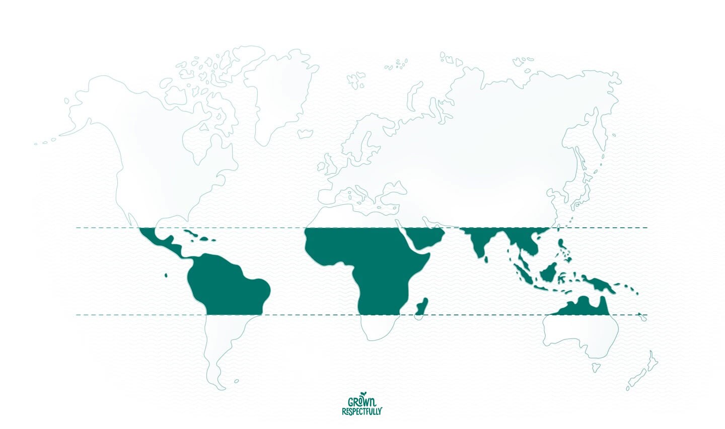 BIO GRANDE MEXICO 12 KAPSELN Espresso roma 16 kapseln