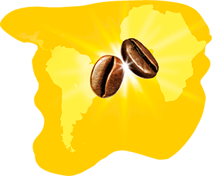 Zwei Kaffebohnen auf gelbem Landkartenausschnitt