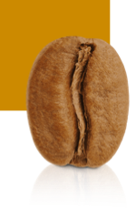Blonde Roast
