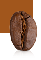 Medium Roast