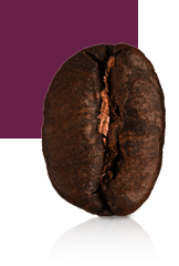 Dark Roast