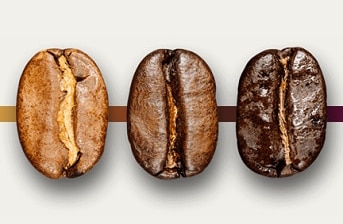 starbucks roast spectrum