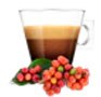 Nachhaltiger Kaffee