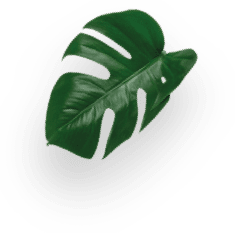 GENIO S ANTHRAZIT VON KRUPS&reg; BUNDLE decoration Image